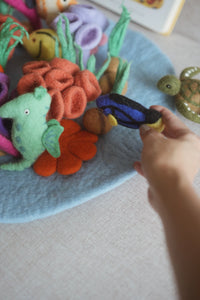 Coral Reef Play Mat Playscape