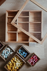 Loose Parts Sorting Box with Lid