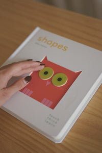 TouchThinkLearn: Shapes