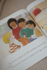 First Experiences with Biff, Chip & Kipper Book Series