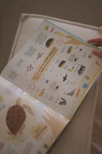 But Where Do Sea Turtles Live? by Elina Ellis
