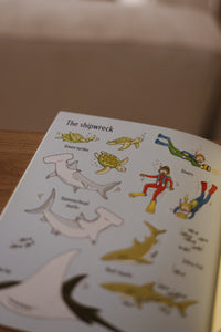 First Sticker Book Series