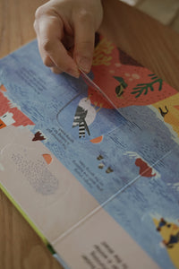 Ladybird A Walk In... Books