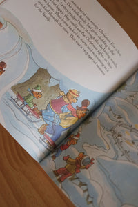 The Berenstain Bears Living Lights™ Books