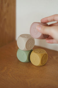 Sana Silicone Dice - 4 Pack