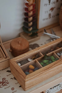 Loose Parts Sorting Box with Lid