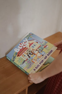 Bluey: A Big Pop-Up Book