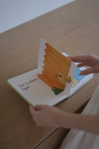 Spot Books by Eric Hill
