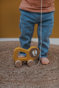 Wooden Pull-along Toy