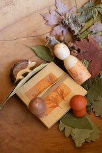 Hello, Autumn!