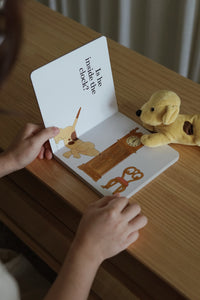 Where's Spot? Book & Toy Gift Set by Eric Hill