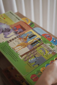 Ladybird Big Noisy Books