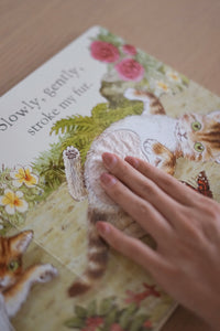 Peter Rabbit: Tickle Tickle Peter! by Beatrix Potter