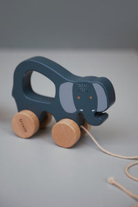 Wooden Pull-along Toy