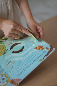 One Little Tadpole by Molly Littleboy