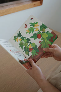 The Very Hungry Caterpillar Books