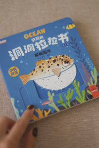 好玩的洞洞拉拉书 第二辑 全4册 Push and Pull Book Series II - Set of 4