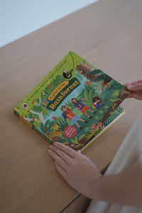 Ladybird A Walk In... Books