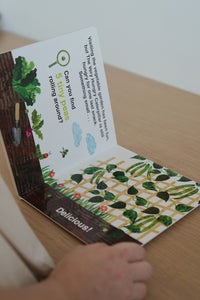 The Very Hungry Caterpillar Books