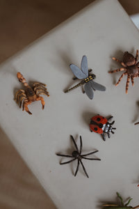 Mini Insects and Spiders Set