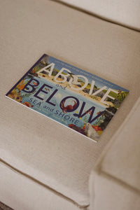 Above and Below: Sea and Shore by Harriet Evans & Hannah Bailey