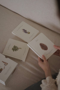 Our Little Adventures: Stories Featuring Foundational Language Concepts for Growing Minds by Tabitha Paige