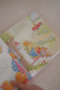 The Berenstain Bears Living Lights™ Books