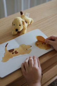 Where's Spot? Book & Toy Gift Set by Eric Hill