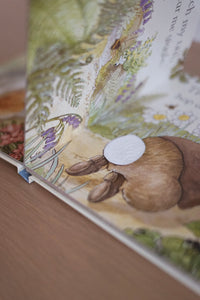 Peter Rabbit: Tickle Tickle Peter! by Beatrix Potter