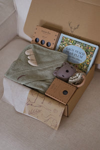 Gift Set for Baby Boy