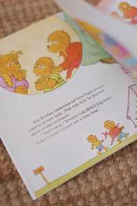 The Berenstain Bears Living Lights™ Book Series