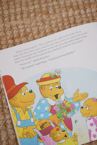 The Berenstain Bears Living Lights™ Book Series