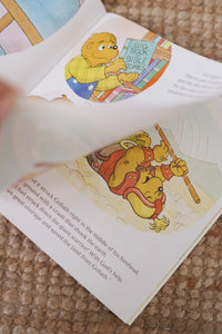 The Berenstain Bears Living Lights™ Book Series