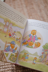 The Berenstain Bears Living Lights™ Book Series