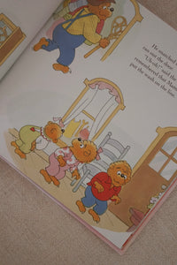 The Berenstain Bears Living Lights™ Books