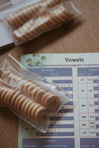 Phonics and Grammar Coins with Chart