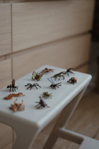 Mini Insects and Spiders Set