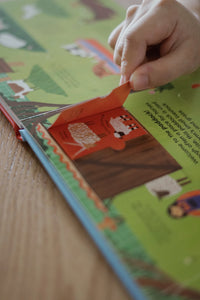 Ladybird A Walk In... Books
