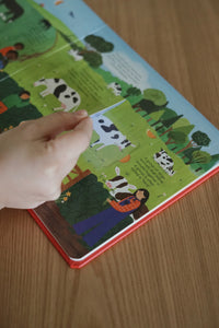 Ladybird A Walk In... Books