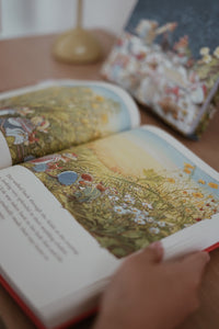 The Brambly Hedge Complete Collection by Jill Barklem