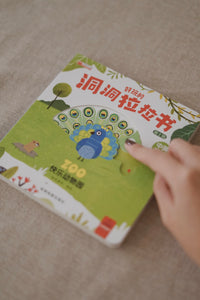 好玩的洞洞拉拉书 第二辑 全4册 Push and Pull Book Series II - Set of 4