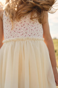 Katie Tutu Dress