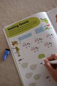 Learn with Ladybird Wipe-Clean Activity Book Series