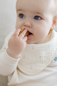 Soft Bandana Bibs