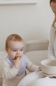 Soft Bandana Bibs