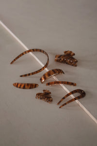 Medusa Jaw - Cinnamon Tabby