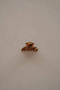 Medusa Jaw - Cinnamon Tabby