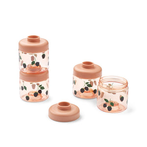 Dominique Baby Food Tritan Boxes - 4 Pack