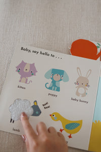 Baby Touch Book Series - Big