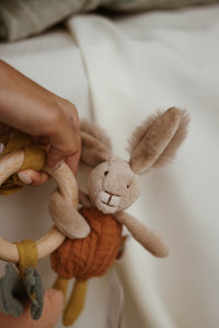 Trois Petits Lapins Rabbit Wooden Ring Rattle